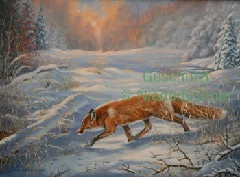 Niederlechner-Winterfuchs