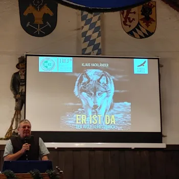 Der-Wolf-ist-da-05