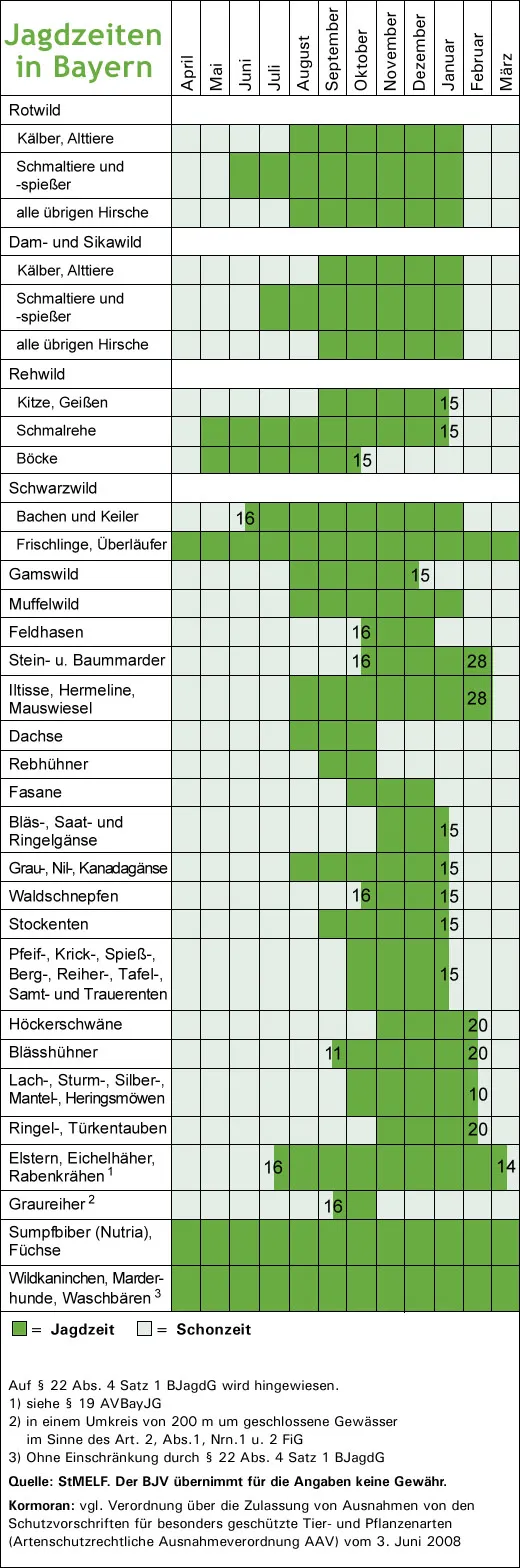 Jagdzeiten in Bayern