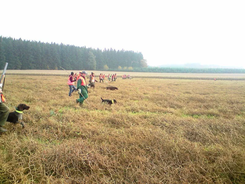 Jungjägerausbildung Praxis