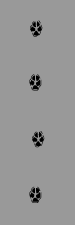 Spur Rotfuchs